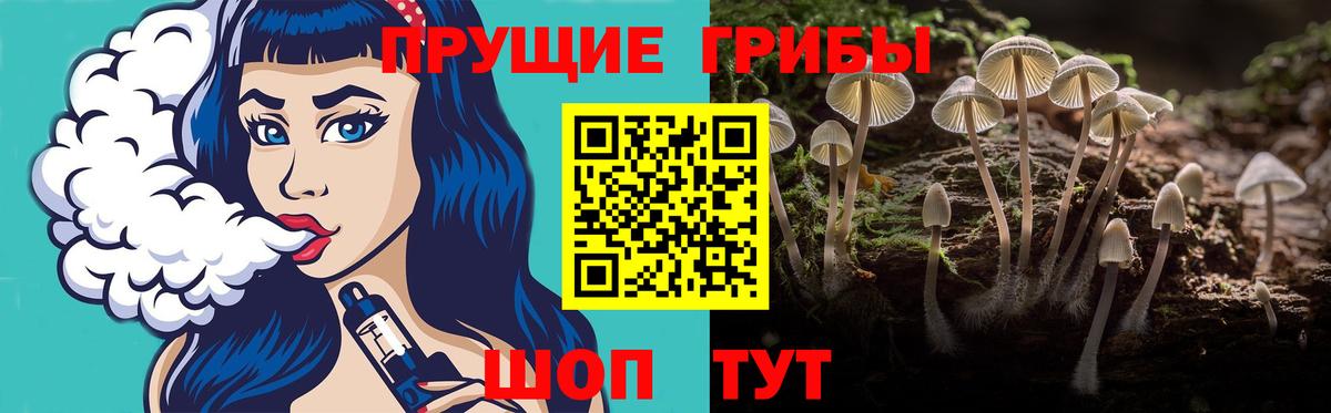 Псилоцибиновые грибы ЛСД Братск