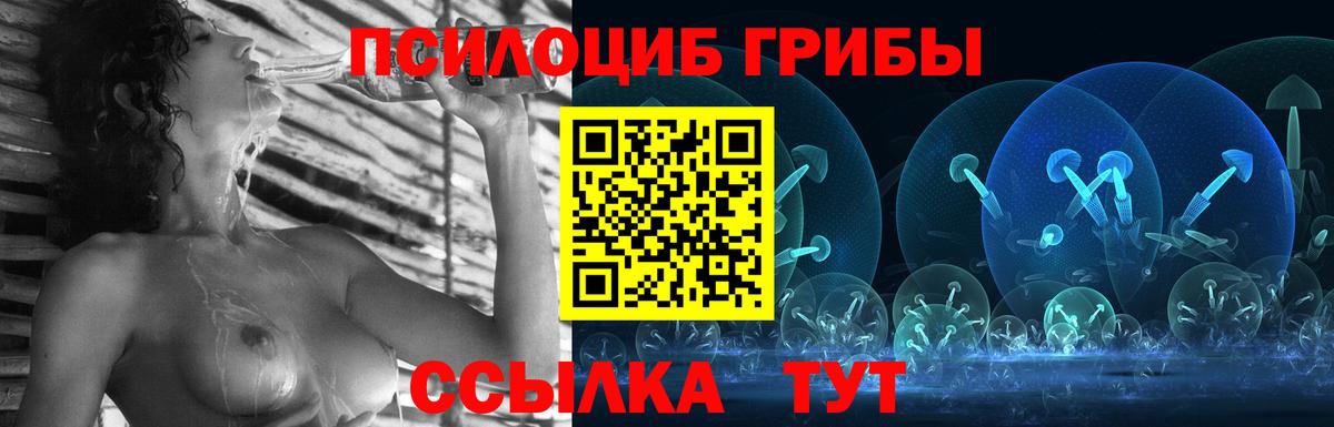 Братск  Псилоцибиновые грибы Cubensis  Вход с VPN 